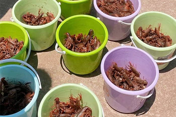 党工共建，凝心聚力共促发展——国投创投开展6月主题党日活动暨工会活动