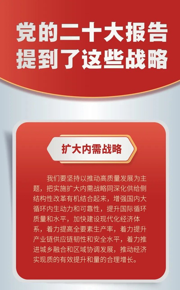 党的二十大报告，提到这些战略