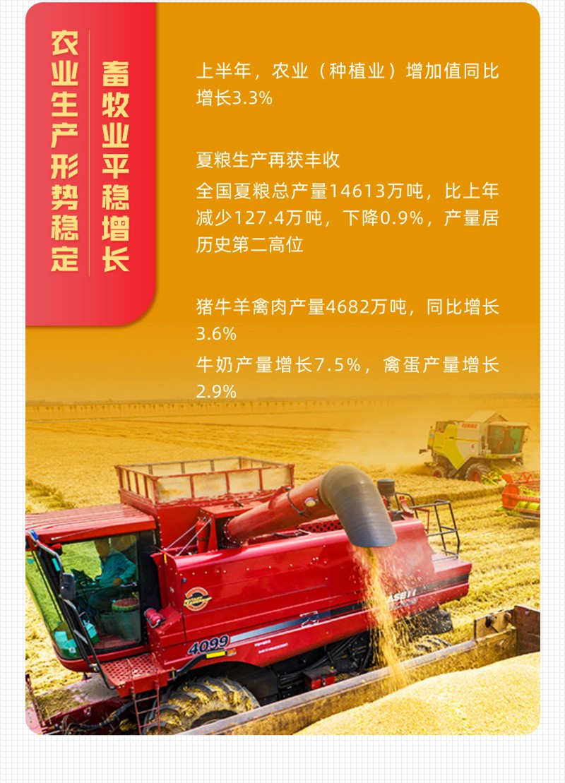 一图速览：10组数字带你看中国经济半年报